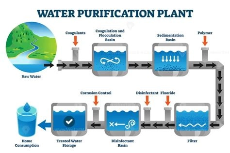 How Water Purification Systems Work: A Detailed Overview